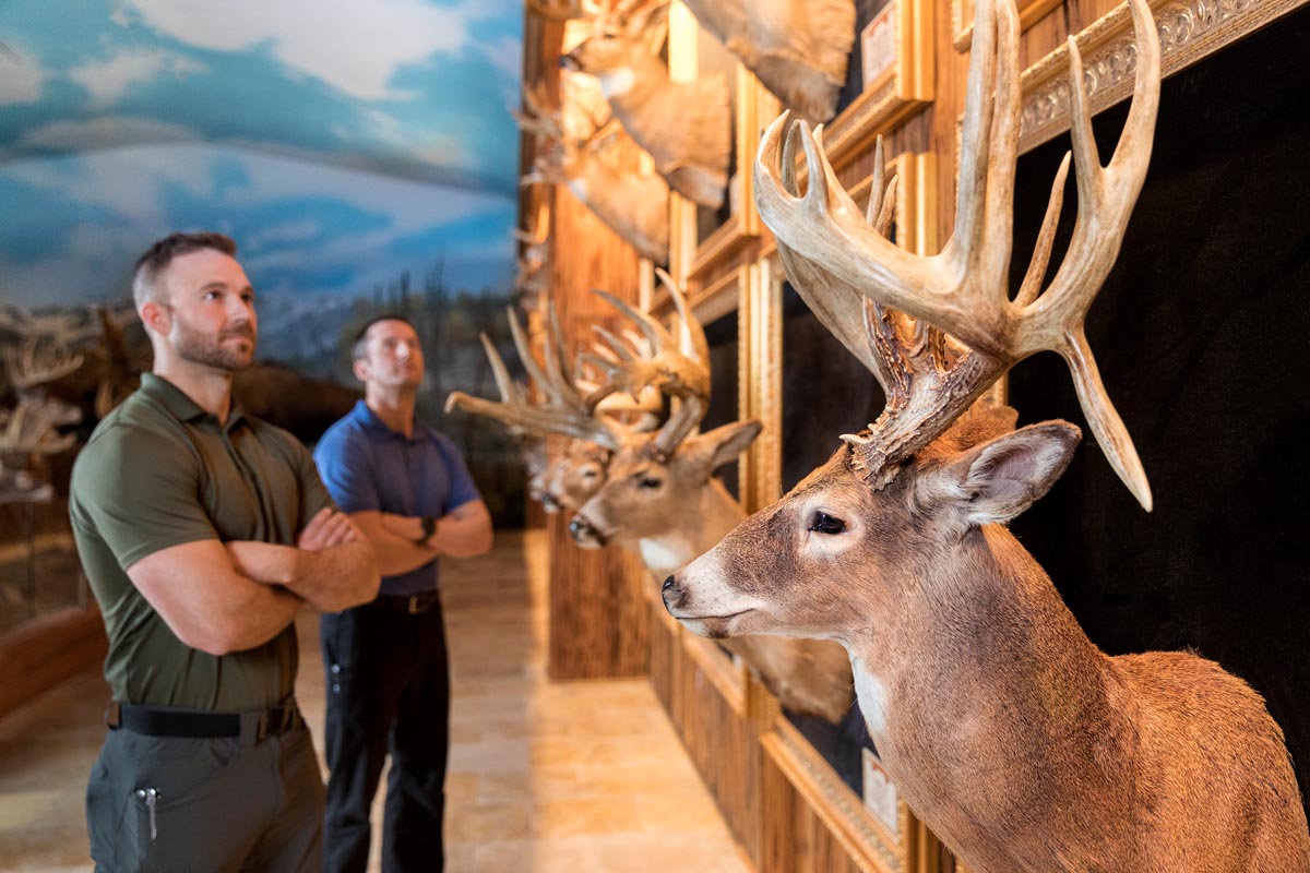 Nearby Attractions, Bass Pro Shops Angler's Lodge