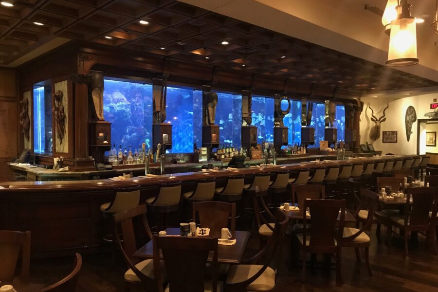 101813656_3105820772810747_4347818891506876416_n