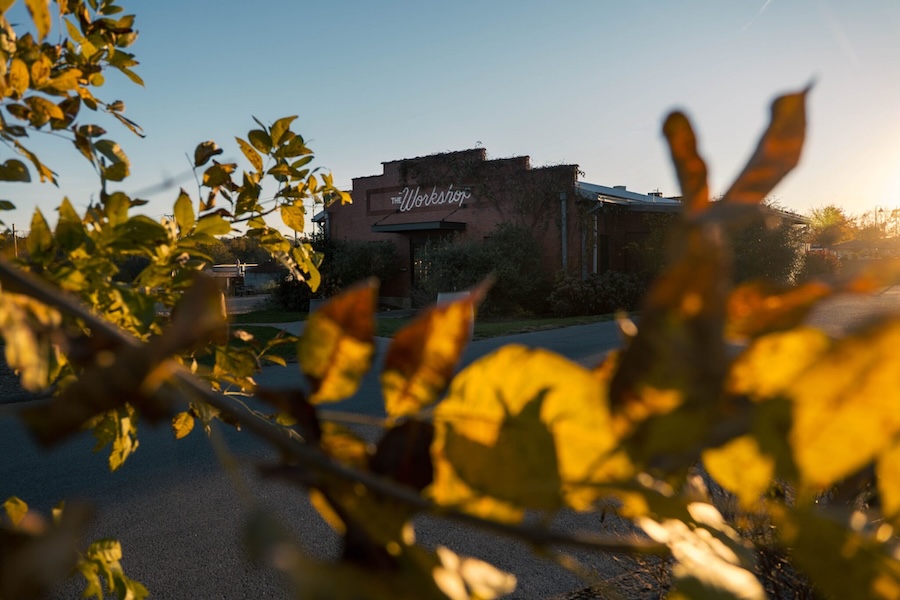 The Workshop at Finley Farms is visible in the background behind a branch of yellow autumn leaves in a blurred foreground as if the viewer is peeking from behind a tree