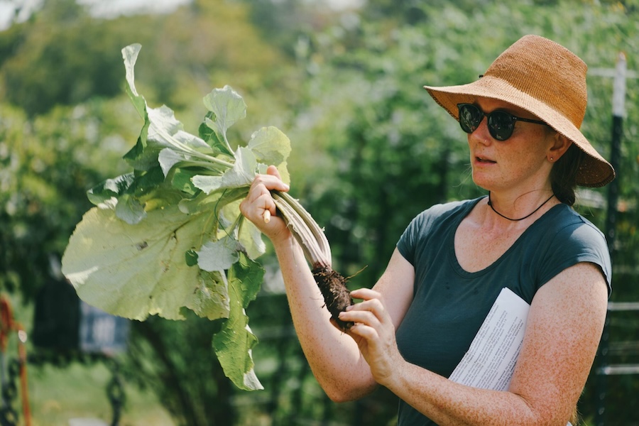 A woman in sunglasses and a straw hat demonstrates the roots of a harvested boar leaf vegetable.